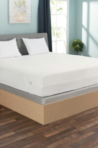 Bargoose Bedbug Solution Elite Low Profile Zippered Mattress Cover 6 Inch