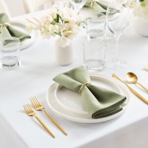 Riegel Premier 100% Spun Polyester Napkins Solid Colors-22" x 22" 6 Dz