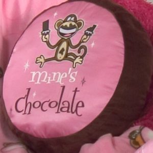 Sport Team Accent Pillows